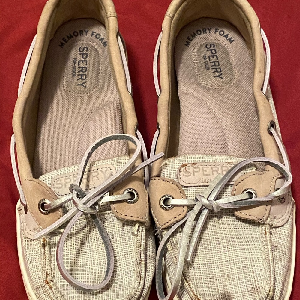 Sperry Angelfish